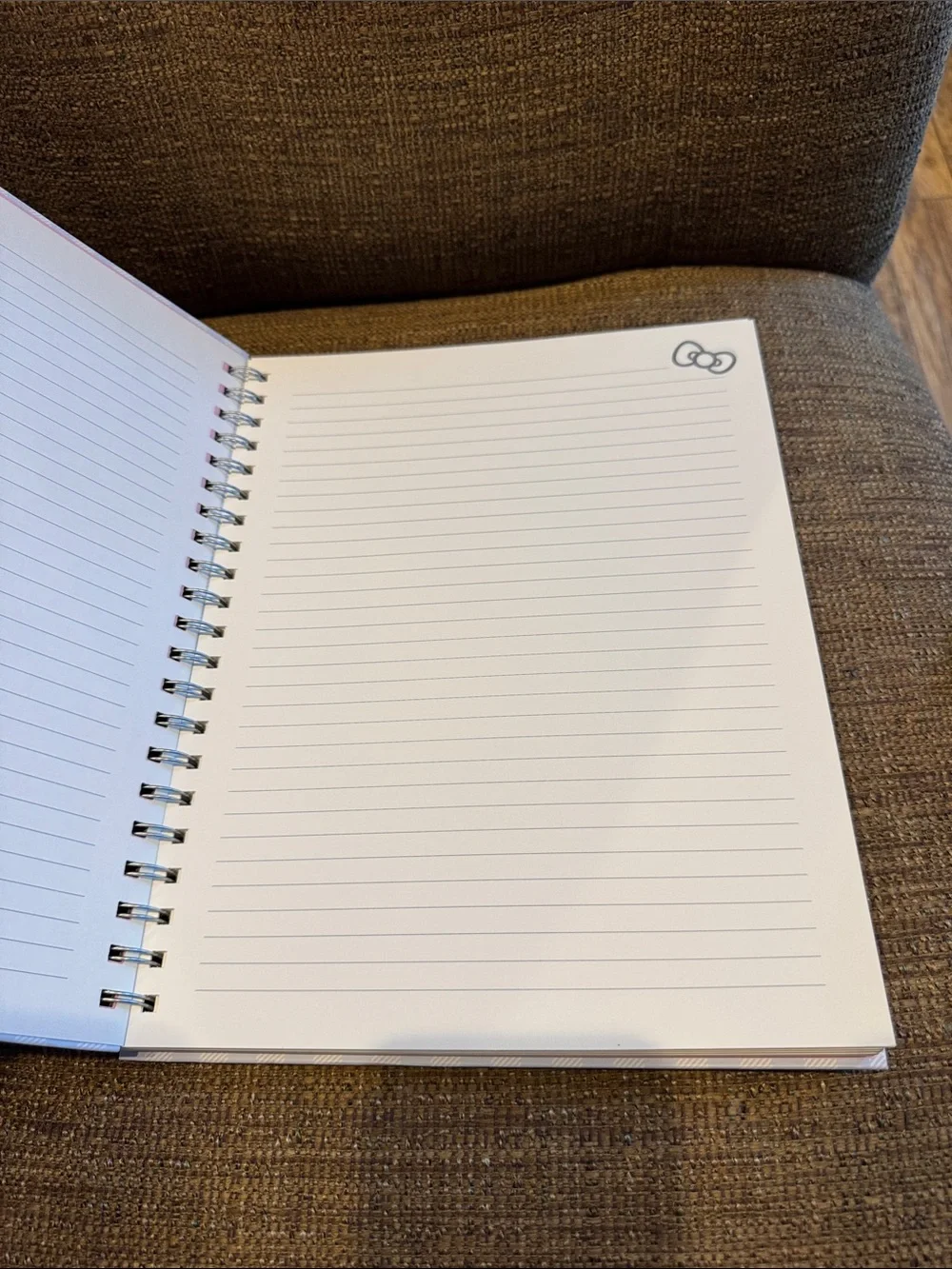 Hello kitty and friends spiral notebook 160 lined pages